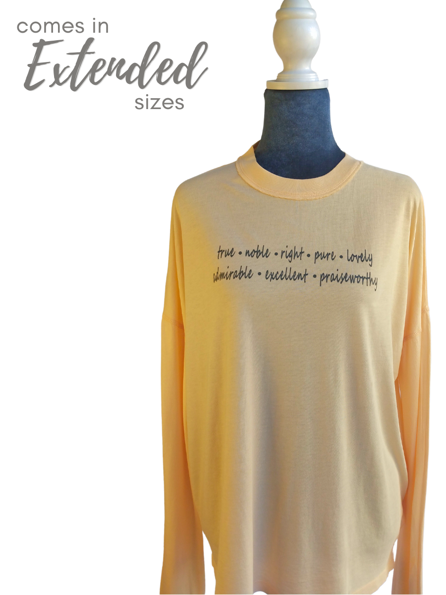 Philippians 4:8 Long sleeve tee