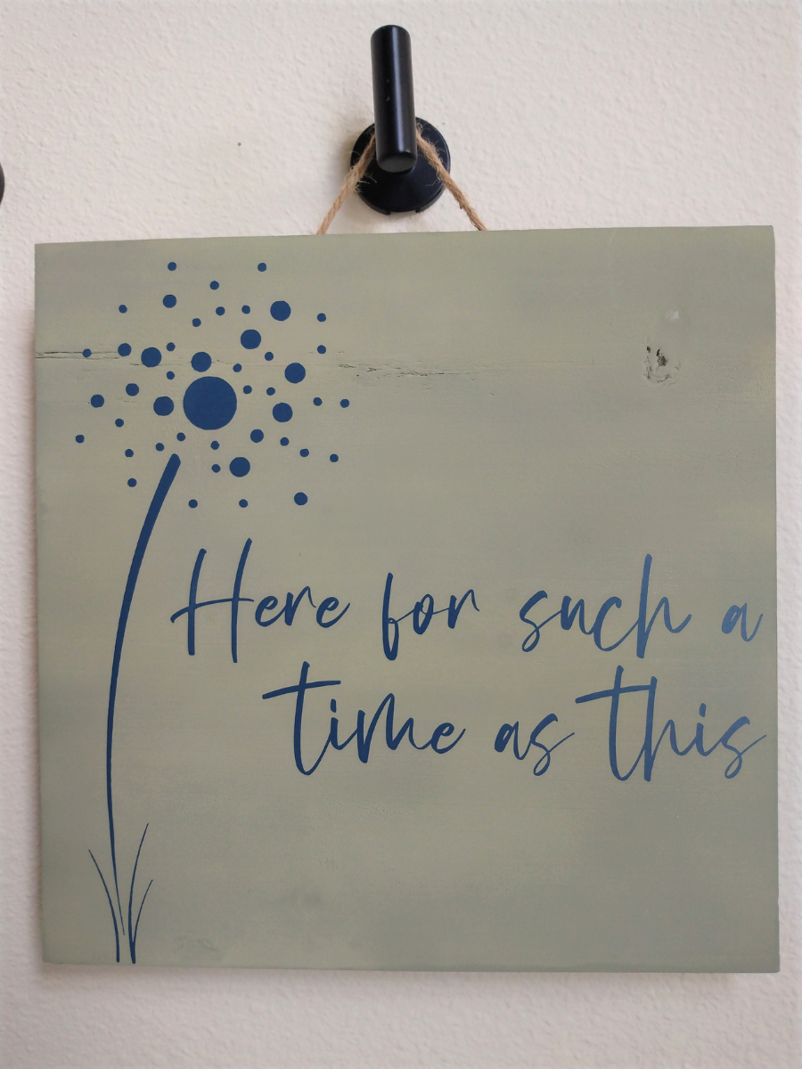 Signs (square) variety